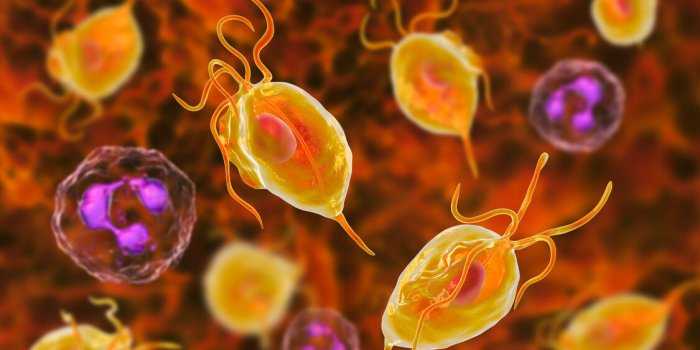 Sexe après 60 ans : les 5 dangers principaux