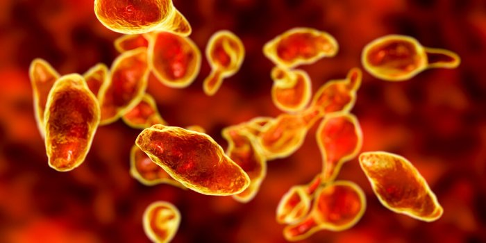 Sexe après 60 ans : les 5 dangers principaux