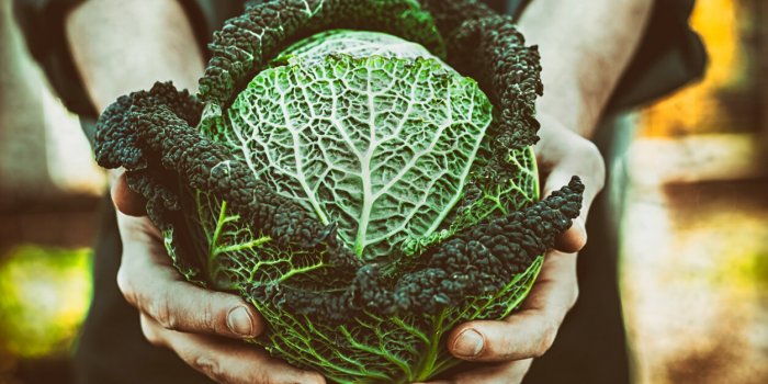 Cancer de la prostate : ces 7 aliments vous aideront à l'éloigner !