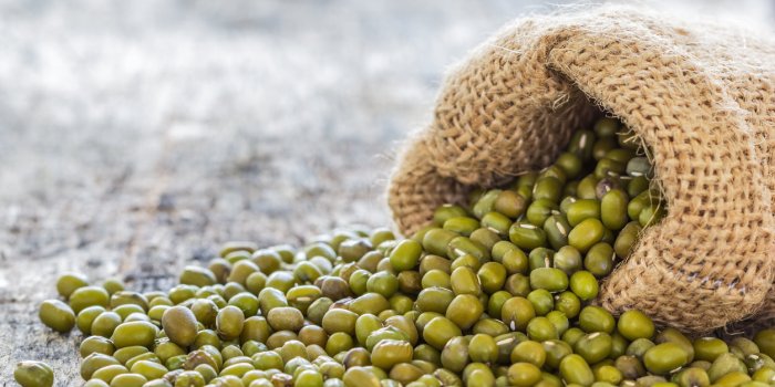 ProtÃ©ines vÃ©gÃ©tales : les lÃ©gumes qui en contiennent le plus