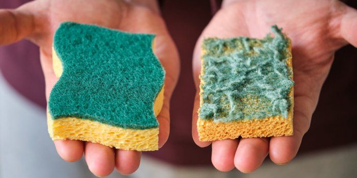 7 objets dâintérieur plein de microbes qu'on ne lave pas assez