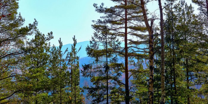 L'hiver aussi est une saison qui s'apprécie