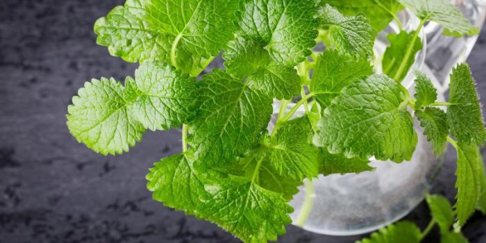 10 remÃ¨des naturels contre l'insomnie