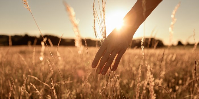 woman touching the grass with the hand at sunset peace, relaxation, tranquility