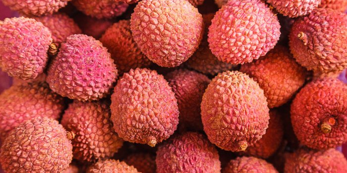 Décembre : les aliments de saison à mettre dans son frigo !