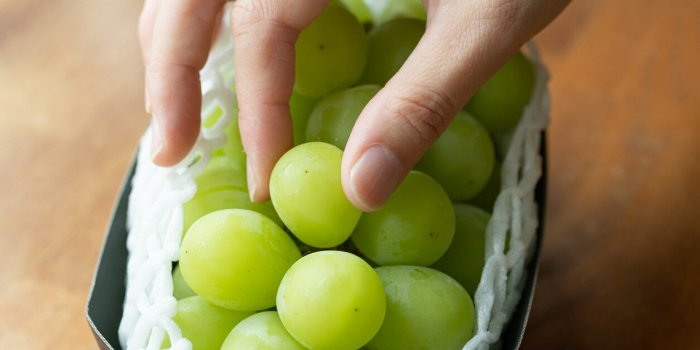 SâÃ©touffer en mangeant : quels sont les aliments Ã  risque ?