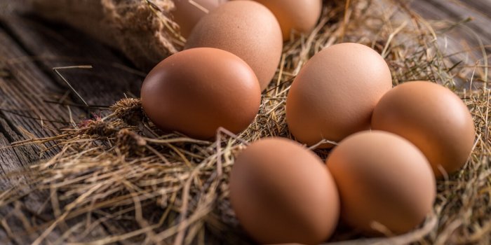  Vieillissement : manger moins de calories pourrait permettre de lâinverser 