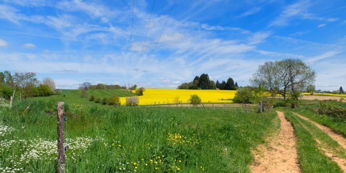 Covid-19 : 13 dÃ©partements oÃ¹ le taux d'incidence est au plus bas