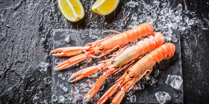 Fruits de mer : nos astuces pour savoir s'ils sont bien frais