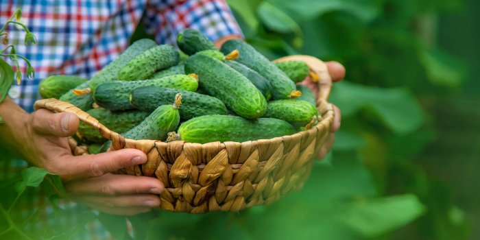 Les 7 fruits et lÃ©gumes qui seraient les plus contaminÃ© aux PFAS