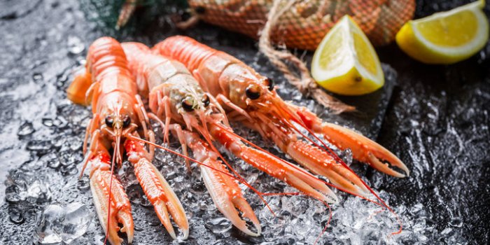 Fracture de la hanche : ces aliments réduisent les risques de moitié