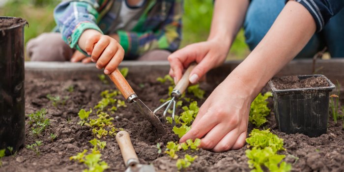 Espérance de vie : 7 astuces pour vivre longtemps et en bonne santé