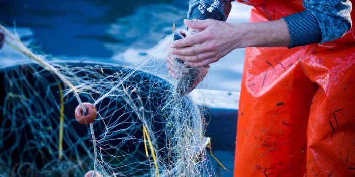 5 bonnes raisons de manger du poisson en conserve