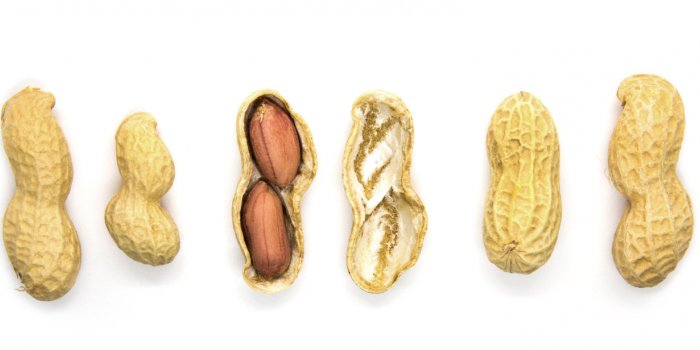 CacahuÃ¨tes : 5 bienfaits santÃ© de ces lÃ©gumineuses