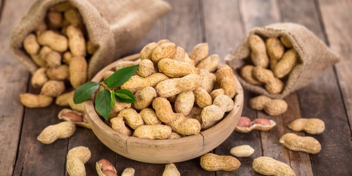 CacahuÃ¨tes : 5 bienfaits santÃ© de ces lÃ©gumineuses