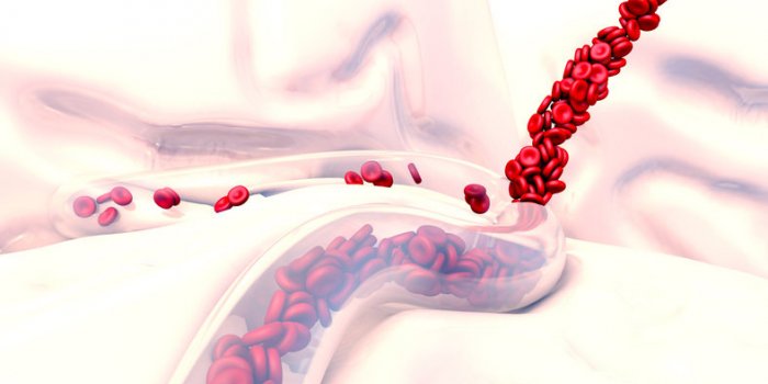 Vitamine K : 6 signes que vous souffrez dâune carence