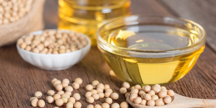 Intestins : 5 aliments populaires qui leur nuisent 