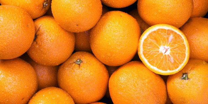 9 aliments pour prendre soin de son cerveau après 50 ans