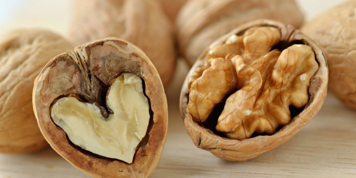 9 aliments pour prendre soin de son cerveau après 50 ans