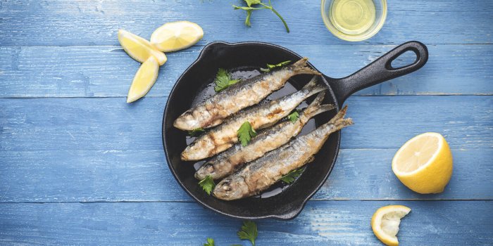 9 aliments pour prendre soin de son cerveau après 50 ans