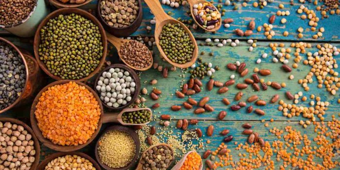 Cancer : 7 habitudes alimentaires pour rÃ©duire les risques de rÃ©cidives