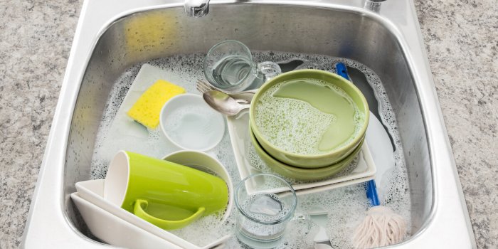 7 astuces pour se débarrasser naturellement des moucherons à la maison