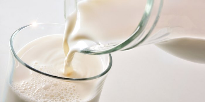 Perte de poids : 5 aliments à privilégier pour maigrir