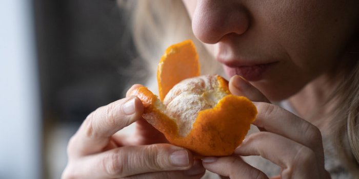 8 signes mÃ©connus dâune carence en zinc