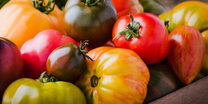 Ces 25 aliments dits "Ã  calorie nÃ©gative" vous aident Ã  maigrir