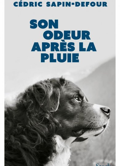 7 idées de lecture feel-good pour le temps des fêtes