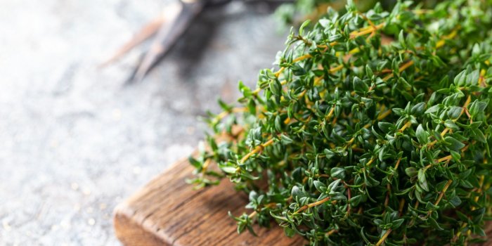 Cancer colorectal : les aliments riches en antioxydants peuvent accroître vos risques