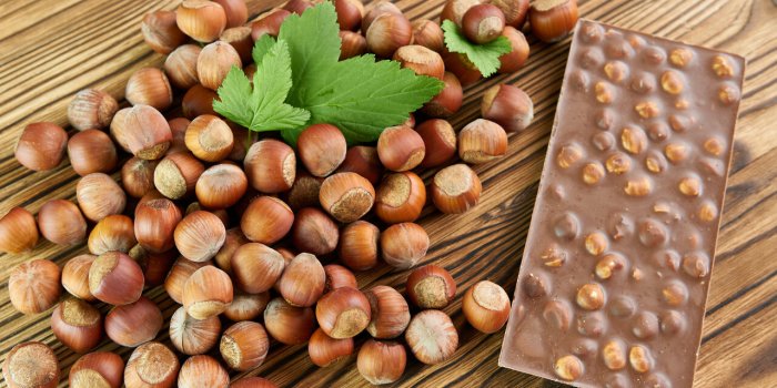Santé intestinale : 5 chocolats à privilégier