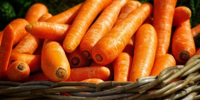 7 aliments qui améliorent la santé de vos yeux