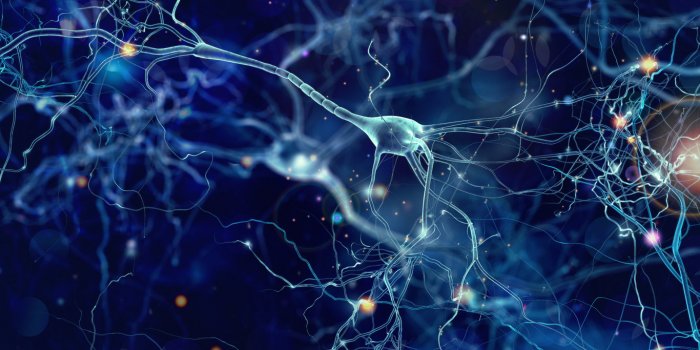 Covid-19 : la liste des organes endommagés chez les patients asymptomatiques