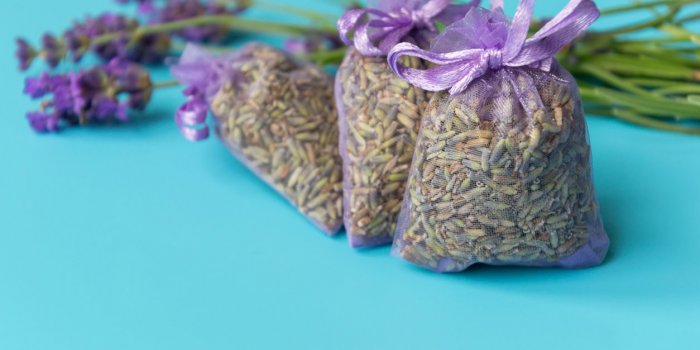 Mites textiles : 12 rÃ©pulsifs naturels efficaces pour sâen dÃ©barrasser 