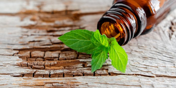 Mites textiles : 12 rÃ©pulsifs naturels efficaces pour sâen dÃ©barrasser 