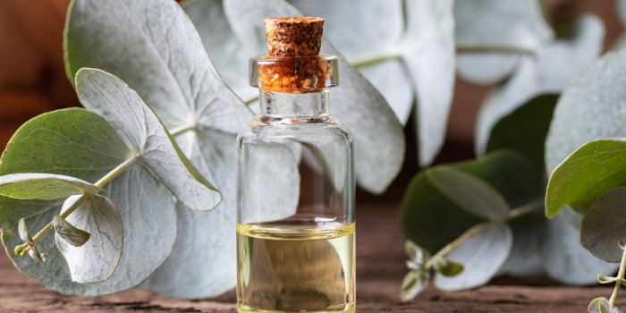 Mites textiles : 12 rÃ©pulsifs naturels efficaces pour sâen dÃ©barrasser 