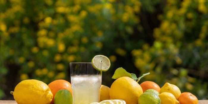 JeÃ»ne intermittent : une adepte partage ses 5 boissons dÃ©tox du soir