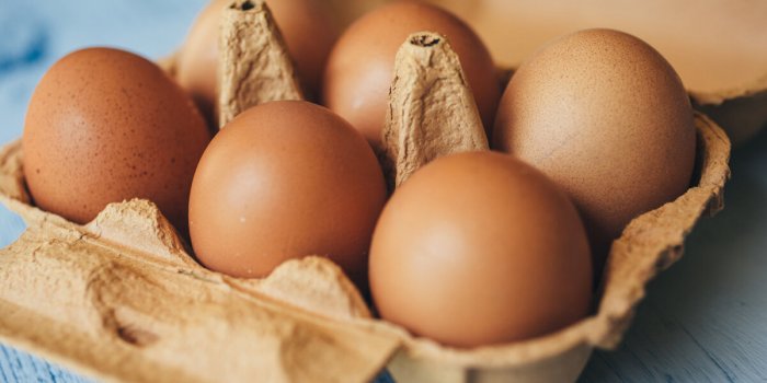 RÃ©gime cÃ©togÃ¨ne : les 7 meilleurs aliments pour perdre du poids