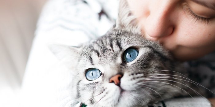 5 astuces de mÃ©decin pour inverser le dÃ©clin du cerveau