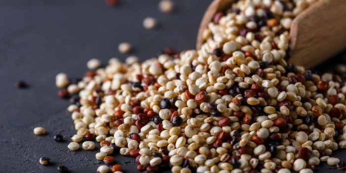 Les 9 produits non-pÃ©rissables ou longue conservation les plus sains 