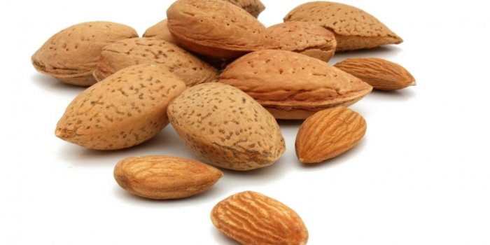5 aliments à prendre au petit déjeuner pour perdre la graisse du ventre