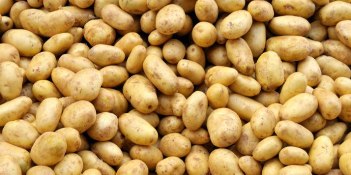 Les 7 fÃ©culents les moins caloriques