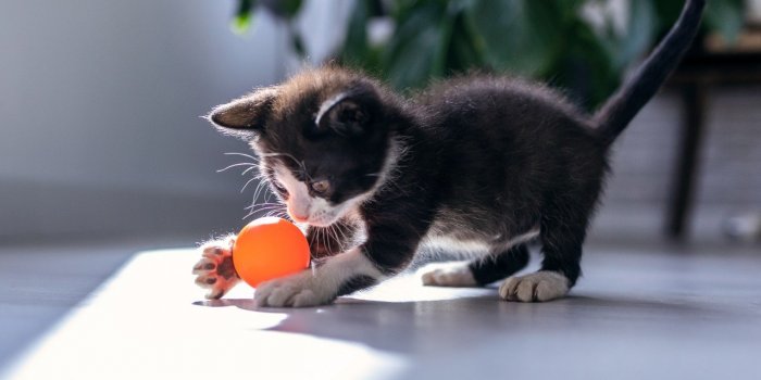 Bonheur : 10 astuces de scientifique pour booster les hormones du plaisir