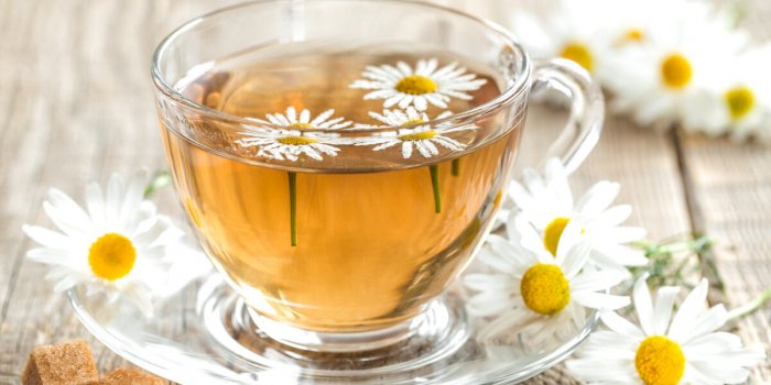 7 tisanes Ã  privilÃ©gier pour booster sa santÃ© jusquâau printemps
