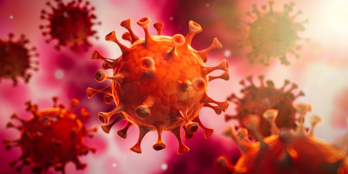 Pandémie : 9 virus qui inquiètent l'OMS