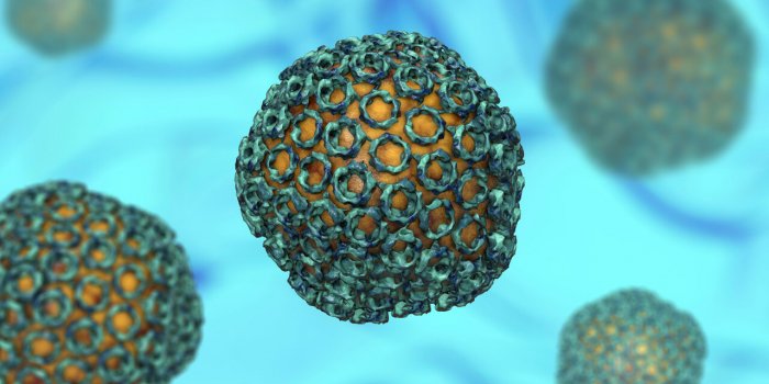 Pandémie : 9 virus qui inquiètent l'OMS