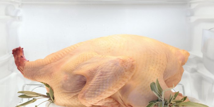 10 erreurs Ã  ne pas faire avec son frigo Ã  NoÃ«l