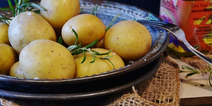 Minceur : 15 aliments pour se rassasier sans grossir