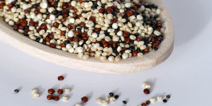 Minceur : 15 aliments pour se rassasier sans grossir